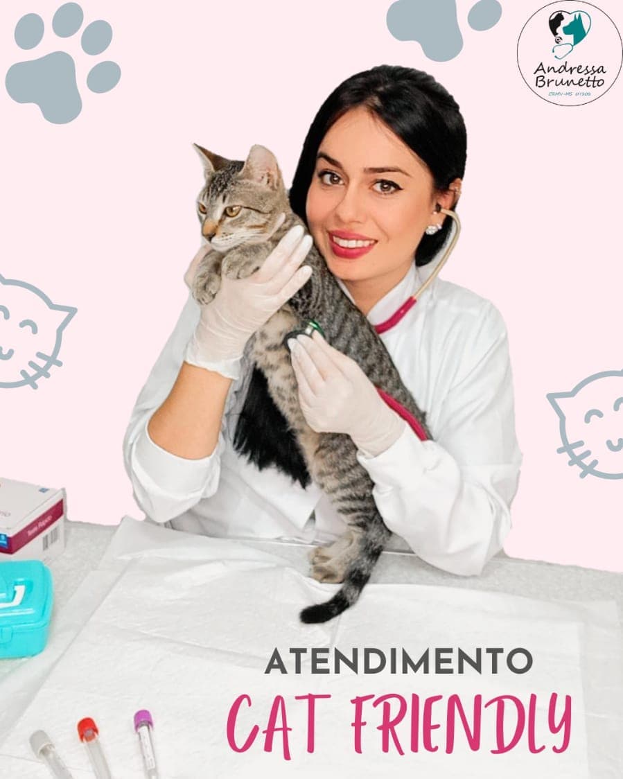 Consulta veterinaria em Balneário Camboriú, Camboriú e Itajai/SC