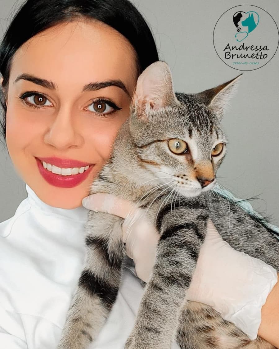 Consulta Veterinaria em Domicilio - Andressa Brunetto