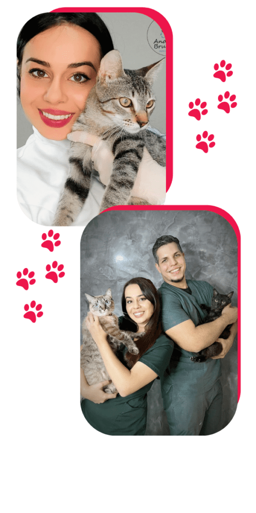 Consulta Veterinaria em Domicilio - Andressa e Felipe